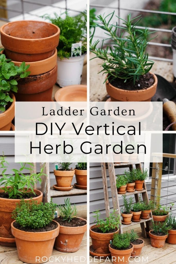 A vertical herb garden made from a repurposed wooden ladder. Several terracotta pots are hung on the ladder rungs, filled with various herbs. 