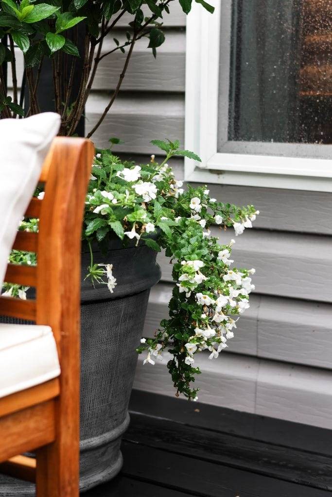 Vibrant flowers and black stain add a pop of color and modern touch to a manufactured home porch.