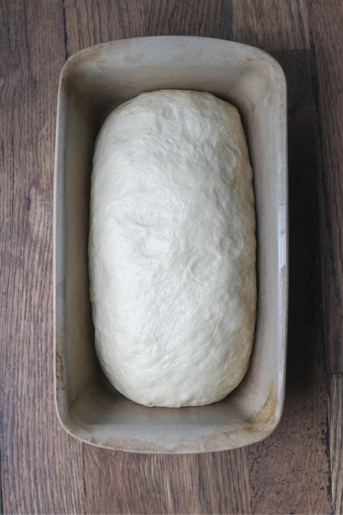 bread dough rising in a loaf pan