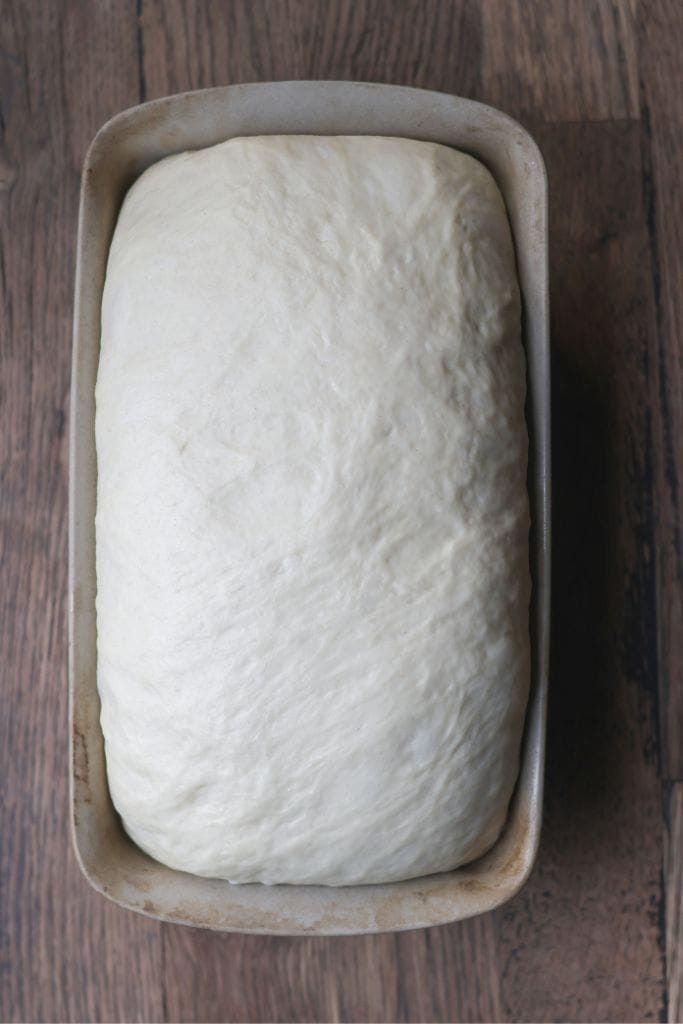 bread dough that has risen in a loaf pan