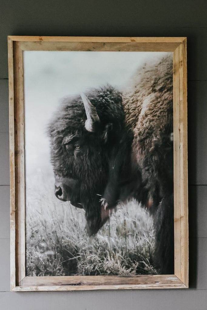 Close-up of a detailed bison print by Jeff Brenner Photography, showcasing the texture and earthy tones.