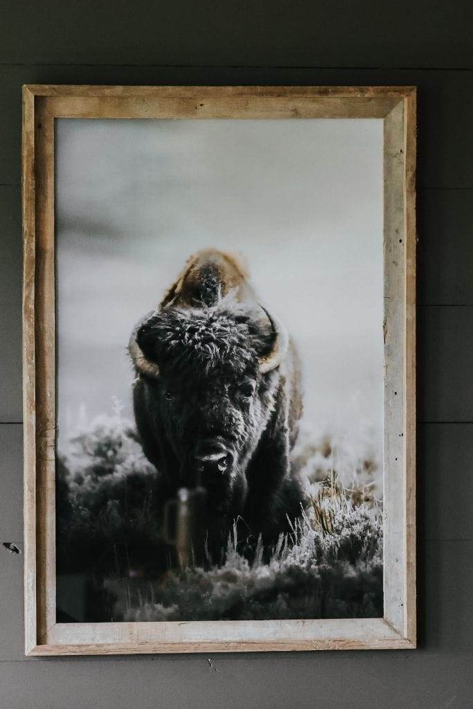 Close-up of a detailed bison print by Jeff Brenner Photography, showcasing the texture and earthy tones.