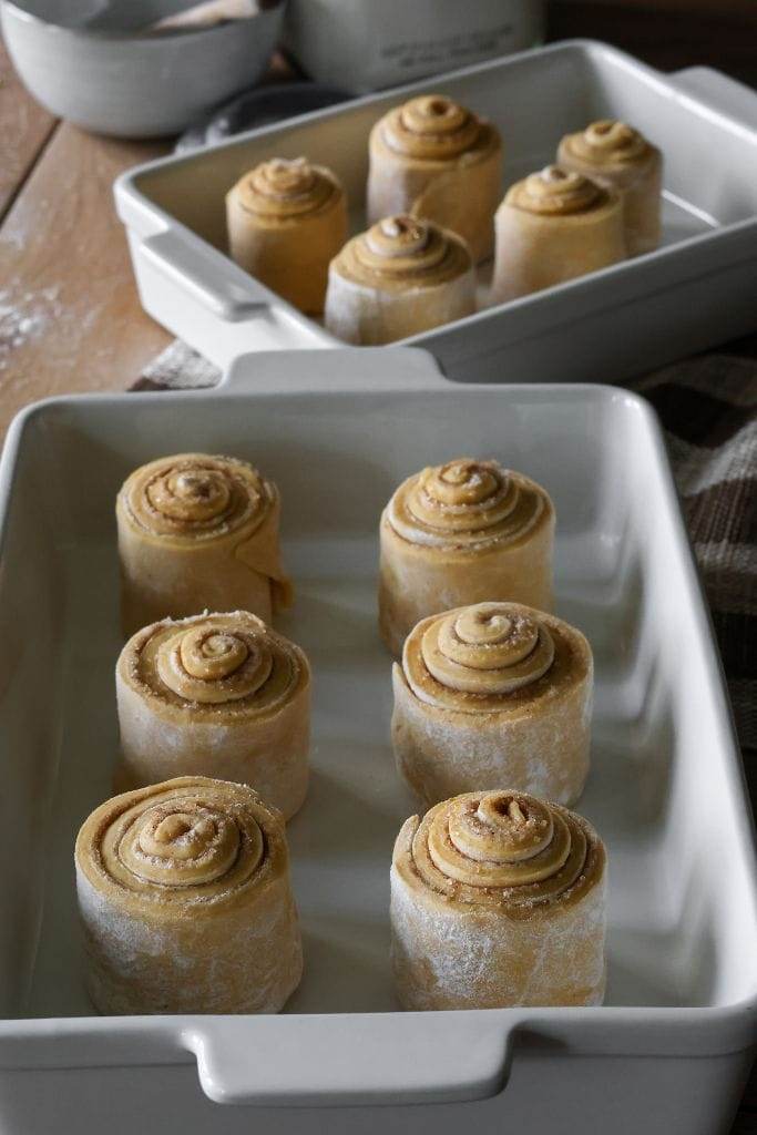 pumpkin cinnamon rolls rising in a 9x13 pan